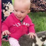 Baby and Cats Playing Together     Funny Baby and Pets Moments _ おもしろ　面白　赤ちゃん　子供　こども　猫　犬