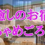 【ペットと泊まれる宿巡り】癒しのお宿ちゃめごろう【伊豆・箱根編】