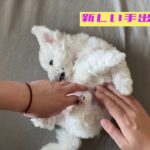 可愛い子犬とただこしょこしょタイムする動画。tickle time with bichon frise