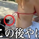 【神回】ツッコミどころ満載な動物おもしろ動画見ようぜwwwwww②【ハプニング集】【犬】【猫】猫を切ることに対する猫の反応。