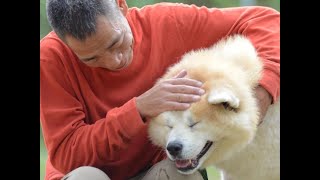 動物 癒し 問題行動を抱えた犬が幸せになる道を探して