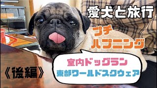 【愛犬と旅行(後編)】朝からプチハプニング。東部ワールドスクウェアで世界一周してみた🌎✨