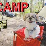 #camp #dog #Happy 初CAMP/生後約１０ヵ月の子犬と１泊２日山中湖/かわいい子犬の成長記録　第７弾 　後編