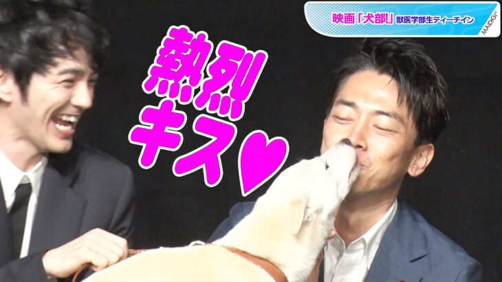 小泉進次郎環境相、女優犬から熱烈キスのハプニング　映画「犬部！」獣医学部生ティーチイン