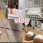 料理・勉強・癒し(犬・猫)のある看護師vlog