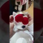 😸Cute Cats Doing Funny Things 2021 😸 #1 かわいい犬