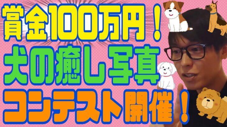 【賞金１００万】投資家テスタ『犬の癒し写真コンテスト』開催【応募条件】【切り抜き】【株式投資】