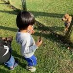 天気がいいので公園へ行ったら可愛い犬ちゃんがいました！子供チャンネルrepezen kids