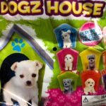 開封動画👀かわいい犬＆犬小屋のマスコット🐶Open PUPPY FRIENDS CLUB doll.