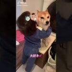 犬と子供の癒し(◦ˉ ˘ ˉ◦)