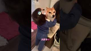 犬と子供の癒し(◦ˉ ˘ ˉ◦)