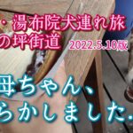 【大分・湯布院犬連れ旅】ハプニング!!大切なモノ忘れてきました