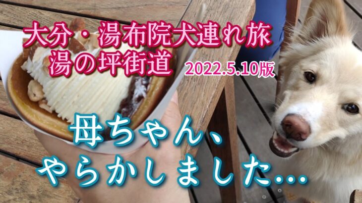 【大分・湯布院犬連れ旅】ハプニング!!大切なモノ忘れてきました