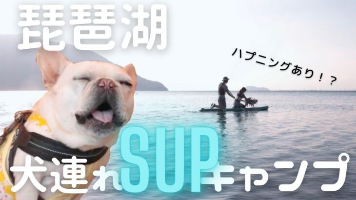 【知内浜オートキャンプ場】ハプニングあり‼︎犬とSUPキャンプは楽しすぎた【犬連れキャンプ】