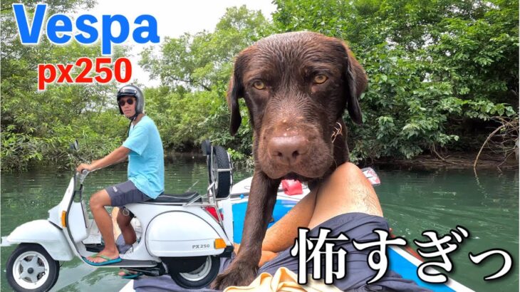 【Vespa PX250】ハプニング続出！？ベスパに乗って犬と川遊び！！