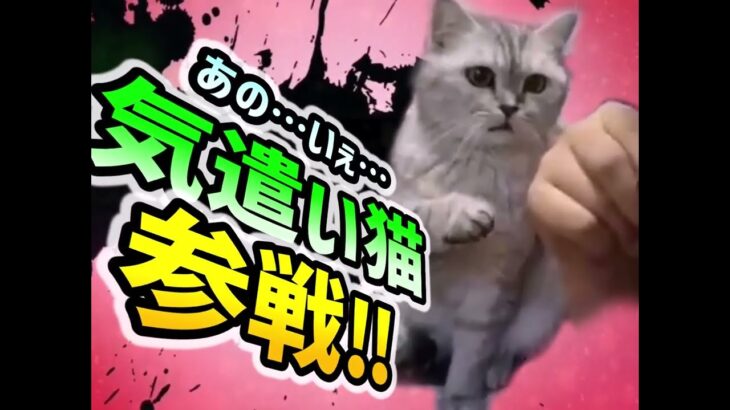 【犬 猫】爆笑おもしろワンちゃんネコちゃん全員参戦‼