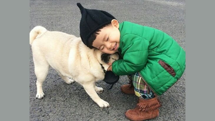 【犬と赤ちゃん仲良し】最高におもしろい赤ちゃんと犬のハプニング・赤ちゃんと犬絶妙な関係 #2 👶🐶