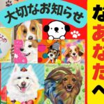 【犬好きさん必見】100種類ワンコ大集合！？癒しイベント開催します！