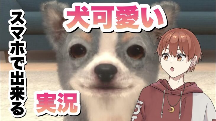 癒しが欲しくなってスマホの犬ゲームする男～with my dogスマホ版実況プレイ～