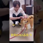 ＃玉森裕太＃Kis-My-Ft2＃キスマイ＃柴犬＃犬＃かわいいねぇー