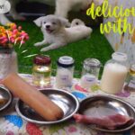 How learn to cook for puppies part 5 – かわいい子犬のための料理エピソード 5