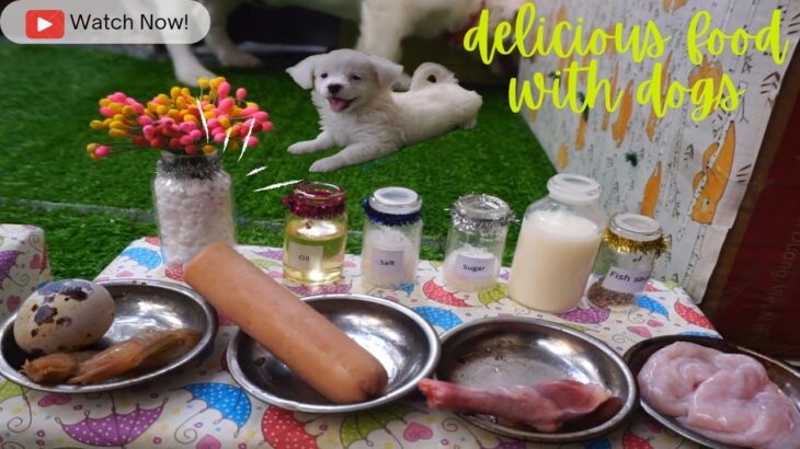 How learn to cook for puppies part 5 – かわいい子犬のための料理エピソード 5