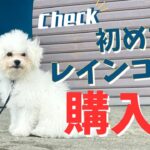 【ハプニング続き?!】初めての犬用レインコート購入!!