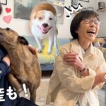 【大爆笑🐶】家族🇯🇵からの日本食が〇〇すぎた👏✨