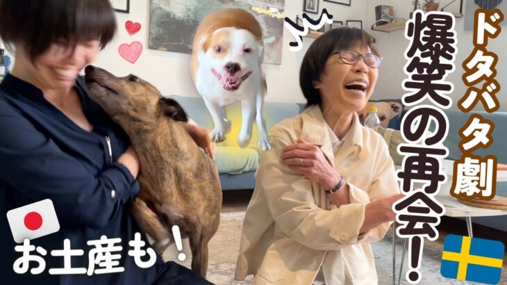 【大爆笑🐶】家族🇯🇵からの日本食が〇〇すぎた👏✨