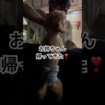 シッポ振りすぎ🐶#shorts #dog #かわいい #楽しい #いぬ #癒し #トイプー #犬好き #シッポ#お姉ちゃん