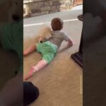 犬と赤ちゃんの遭遇： Puppy Meets Baby!