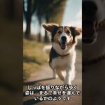 本日の癒し～かわいい犬