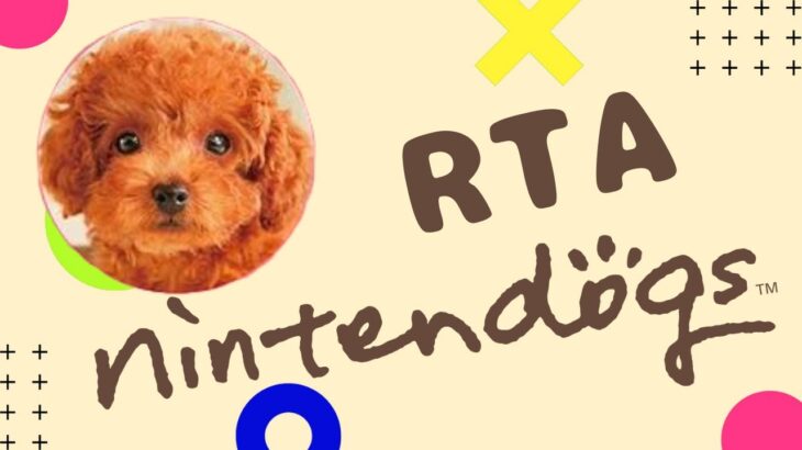 【かわいい犬】ニンテンドッグスRTAのはじまり【RTA】#Shorts