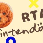 【ニンテンドッグス】犬を導くRTA【かわいい】#Shorts #癒し