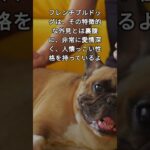 フレンチ・ブルドッグの豆知識と癒し犬　French Bulldog Trivia and Healing Dogs