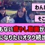 【犬になりたい】乃木坂配信中でとんでもない癒やし(？)動画が公開！【乃木坂46】【反応集】【まとめ動画】