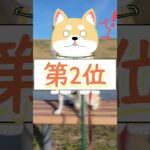 【柴犬の睡眠】今週のTop3 #Shorts #柴犬 #犬 #dog #癒し #睡眠 #shibainu