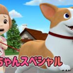 ワンちゃんスペシャル│スペシャル·エピソード│かわいい子犬│子犬の友達│ロボカーポリー テレビ