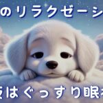 可愛い子犬と癒しのBGMで極上リラックス！ぐっすり眠れる安眠音楽【睡眠導入・ストレス解消・快眠効果】│Tranquility Above the Clouds│Kai-ren