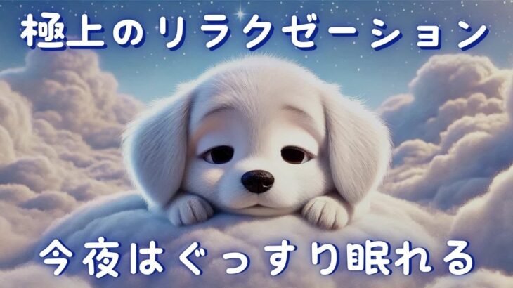 可愛い子犬と癒しのBGMで極上リラックス！ぐっすり眠れる安眠音楽【睡眠導入・ストレス解消・快眠効果】│Tranquility Above the Clouds│Kai-ren