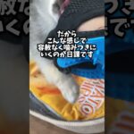 パピー犬ブラッシング #癒しのペット #犬のいる生活 #かわいい犬 #パピー