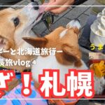 【犬と旅行】ハプニング発生！？コーギーと札幌到着！OMO3すすきの／美味しい物三昧