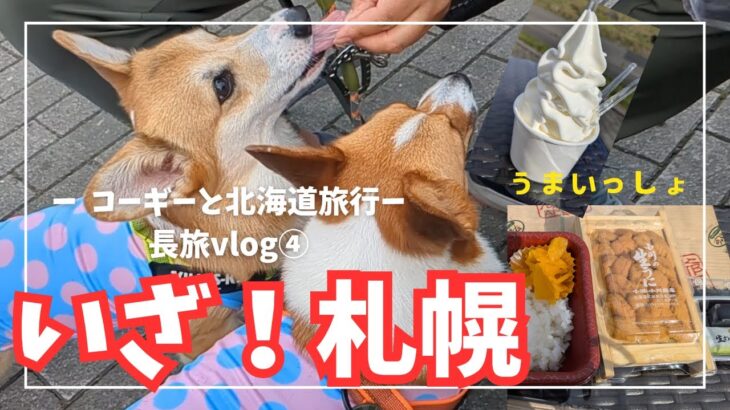 【犬と旅行】ハプニング発生！？コーギーと札幌到着！OMO3すすきの／美味しい物三昧