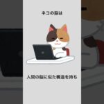 【雑学】犬猫の豆知識#雑学 #おもしろ #作業用bgm #犬 #猫 VOICEVOX：青山龍星