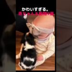 かわいすぎる笑　#おもしろ#面白い#cutebaby #baby#犬#shorts#ショート