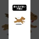 【有益】動物についてのひとくち雑学#かわいい #おもしろ #雑学 #癒し #犬