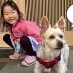 5才ここちゃんが初めて犬の散歩に挑戦したらハプニングの連続でした😂✨